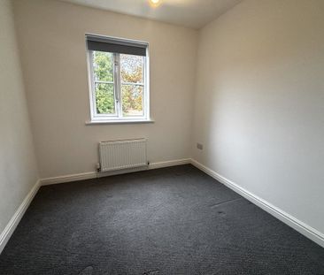 Mallow Close - Photo 6