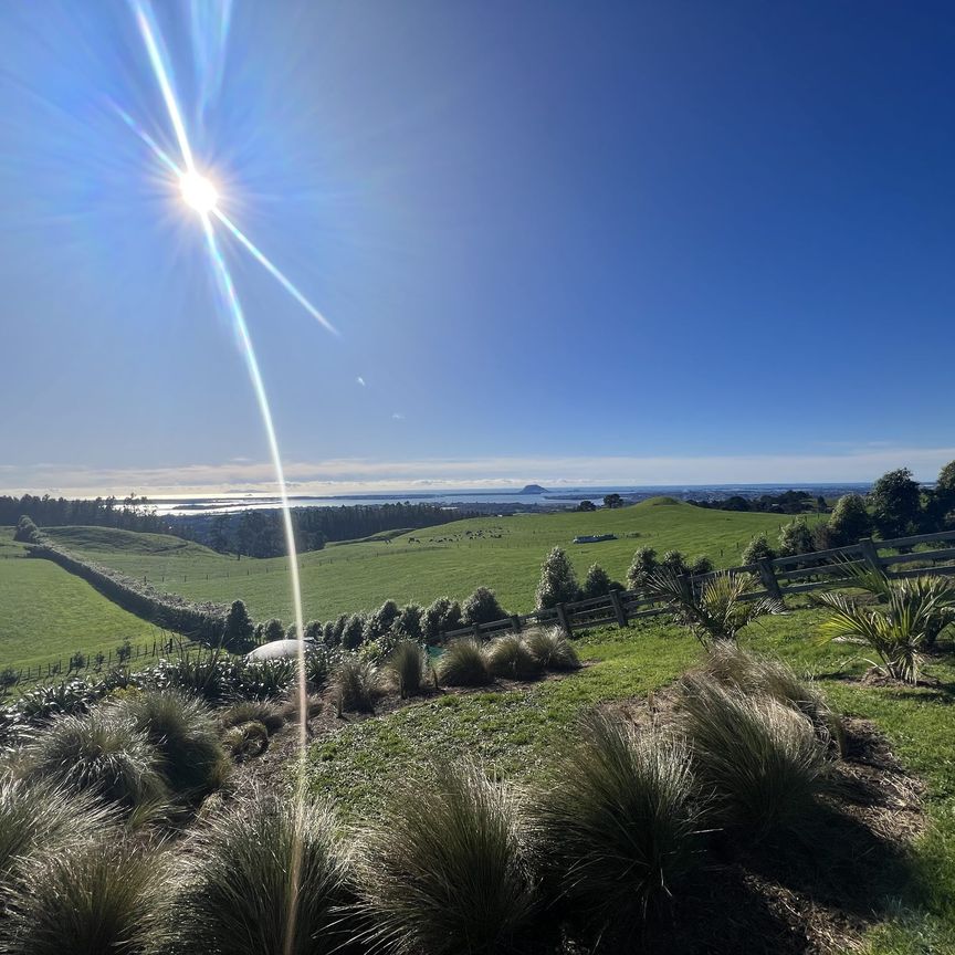 520a Minden Road, Te Puna - Photo 1