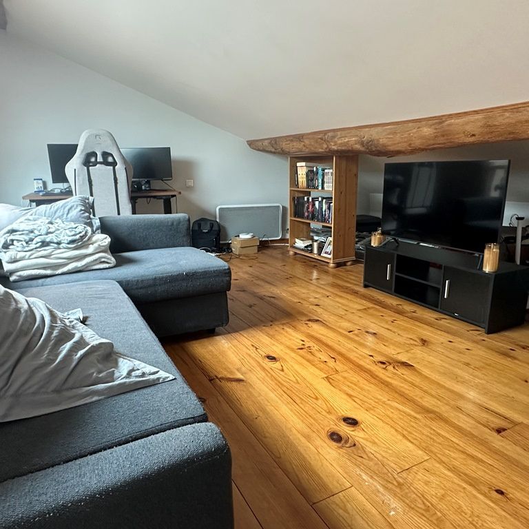 Location Appartement 2 pièces 50m² CHAMPAGNE AU MONT D OR 69410 - Photo 1