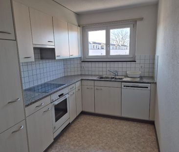 4.5 Zimmer, 300 m², 3. Stock - Photo 2