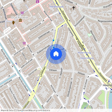 Bomenbuurt, 2282 CV, Ieplaan, Rijswijk