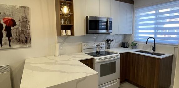 Grand 4 1/2 Meublé Et Entièrement Rénové - Photo 2