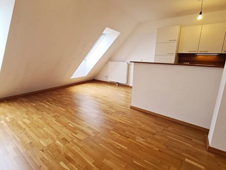 TERRASSENHIT, 61 m2 Dachgeschoß mit 48 m2 Terrasse, Wohnküche, 1 Zimmer, Wannenbad, Parketten, Fernblick, Holbeingasse - Photo 5
