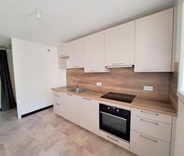 Location Appartement 3 pièces 69m² ST AVERTIN 37550 - Photo 3