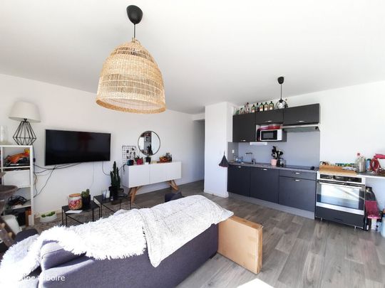 Appartement T3 à louer Pont Pean - 62 m² - Photo 1
