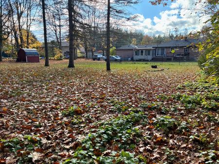 For Lease - 1207 Bayfield Street Unit# MAIN, Springwater, Ontario - Photo 3