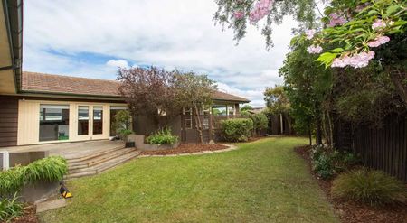 Sun-Filled Home in a Great Location - Photo 5