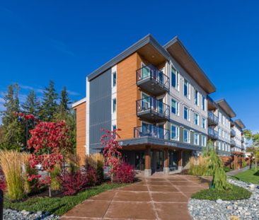 Bayside Manor Apartments | 261 Dogwood Street, Parksville - Photo 1