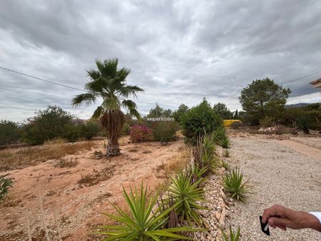 Country House in Crevillente, crevillente, for rent - Photo 3