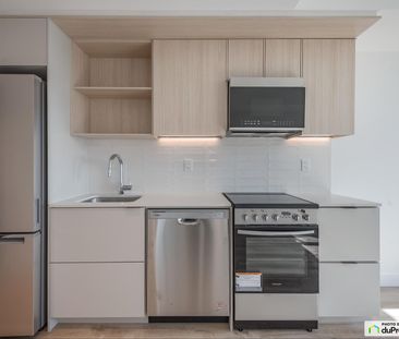 997, De La Commune, Griffintown à louer - Photo 3