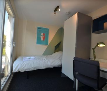 7 bedroom house to rent - Photo 4