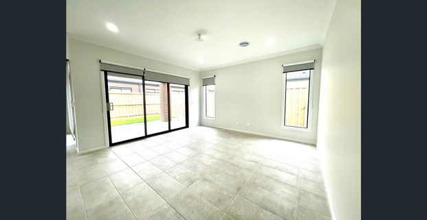 Great Family living !!! - Photo 1