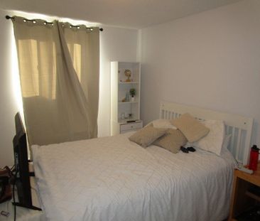 11 Étienne-Brûlé - Photo 5