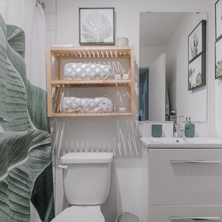 Appartement 3 ½ à louer Sainte-Foy / Sillery juillet 2026 - Photo 4