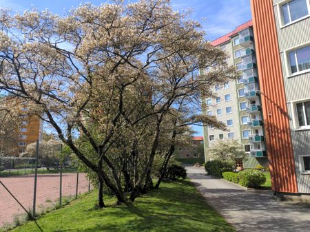 Östra Midvintersgatan, Göteborg - Foto 2