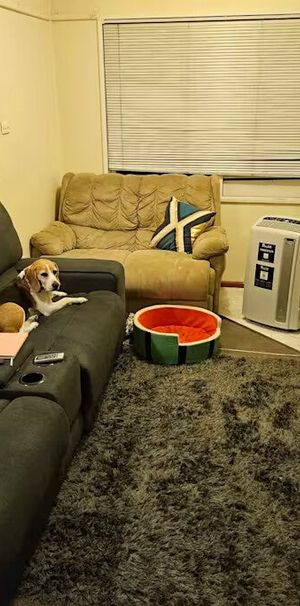 Campbelltown - Photo 1