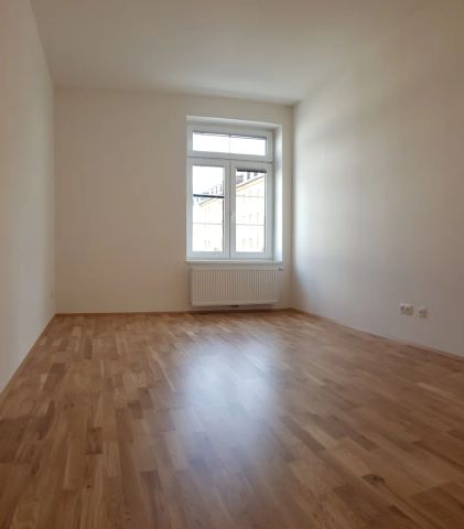 Alte Fassade - dahinter steckt hoher Komfort - Foto 3