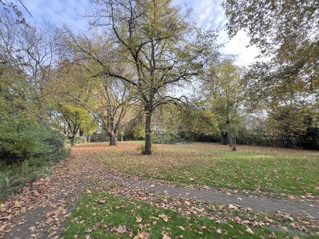 Flat share to rent - Photo 4