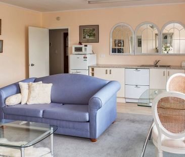 Large, sunny, fully-furnished 1 bedroom apartment - Photo 2