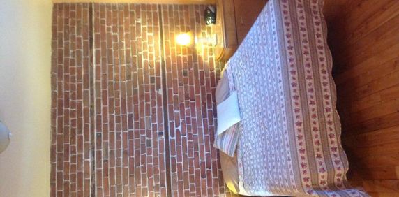 Grand 21/2 meublé, équipe, tout inclus, Métro Papineau - Libre 1er décembre - Photo 2