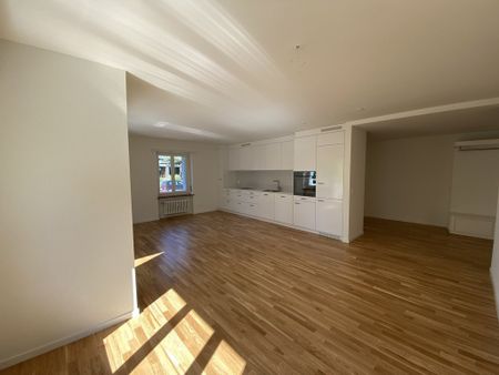 schöne, helle und renovierte 2.5-Zimmerwohnung im EG - Photo 5