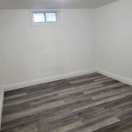 Bright One bedroom Basement For Rent - Photo 1