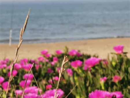 Piso de alquiler en Calle Río Grande, Devessa - Monte Pego - Photo 2