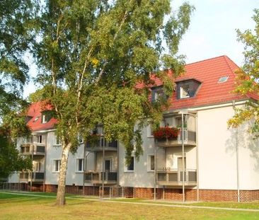 3-Zimmerwohnung mit Balkon in Seelze - Photo 3