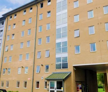Ground Floor Deluxe Plus En-Suite (Horton Co-Living) - Photo 4