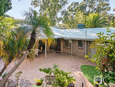 Open the Door to Light-Filled Elegance in Torrens Park - Photo 4