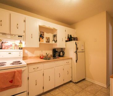 116 and 126 Wilsey - Photo 6