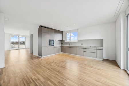 Neubauwohnung an traumhafter Lage direkt am Seeufer in Rapperswil-Jona - Photo 2