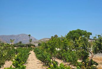 WIDE ESTATE FOR RENT IN TEULADA FOR LONG TERM