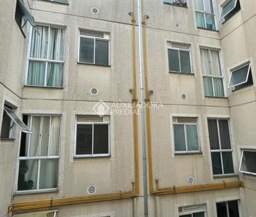 Apartamento com 2 quartos e 39m² para alugar em São Luiz, Gravataí. - Foto 3