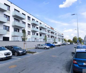 Pronájem novostavby bytu 1+kk + balkon na třídě Jiřího Pelikána v O... - Photo 5