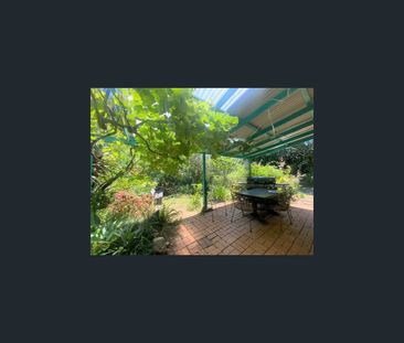 557 Tuntable Falls Road, Nimbin, NSW 2480 - Photo 6