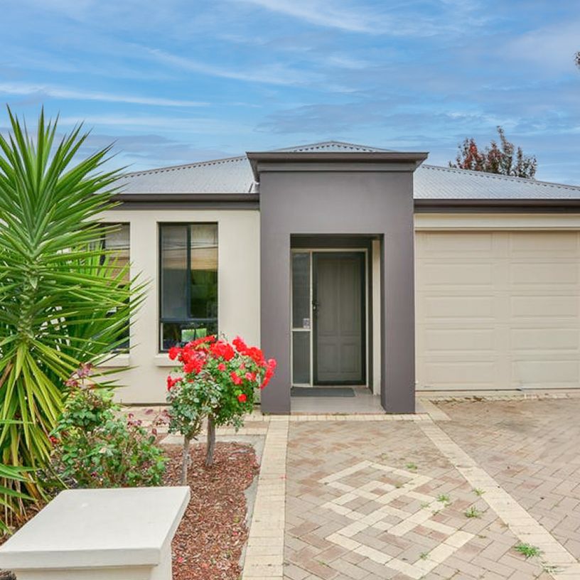 42A Byard Terrace, Mitchell Park SA 5043 - House For Rent - $750 | Domain - Photo 1