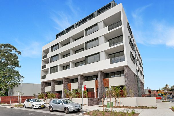 102/2 Pearl Street, Erskineville NSW 2043 - Terrace For Rent | Domain - Photo 1