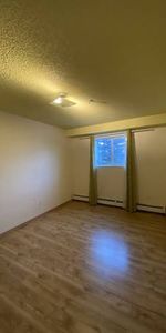 2-Bedroom Suite with in-unit Laundry near Stadium Edmonton LRT Station - Photo 4