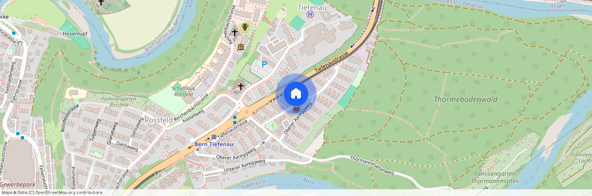 3004, Bern, Tiefenaustrasse, 135