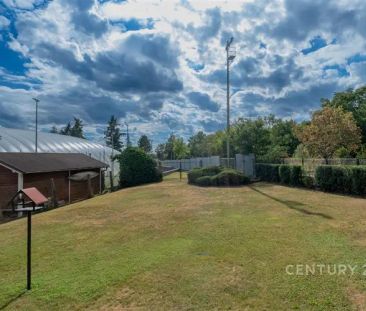 Nabídka pronájmu prostorného bytu 4+1 s terasou a zahradou, Pod urn... - Fotografie 5