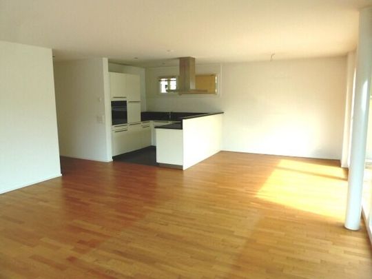 Ihr neues Zuhause an der Kleinen Emme - Photo 1