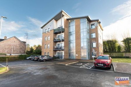 82 The Rose Garden, Derriaghy, Belfast, BT17 9GY - Photo 4