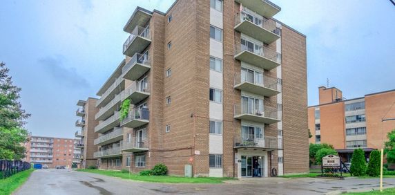 53 McMurchy Ave North - Photo 2