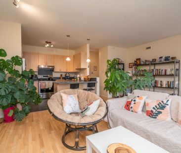 Rue St-Hubert, H2L 4A7, Montréal - Photo 3