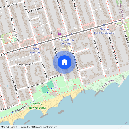 47 Willow Avenue, Toronto