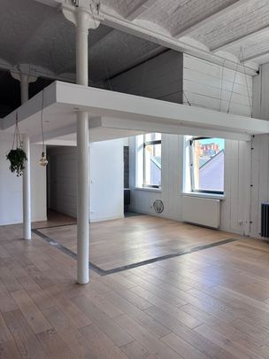 Loft 5 pièces à Lille - Photo 1