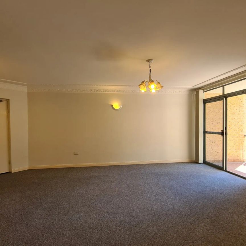 SPACIOUS & SUNNY APARTMENT! - Photo 1