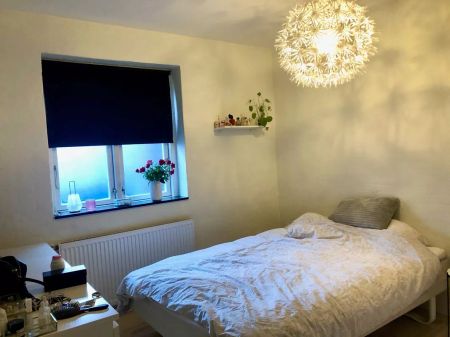 Delevenlig og central - Photo 2