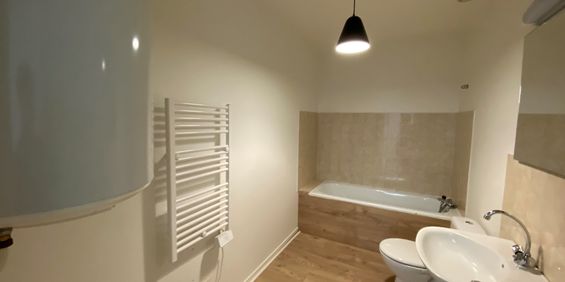 Location Appartement 1 pièce 28m² CHATEAUBRIANT 44110 - Photo 3